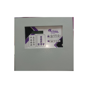 2 Zone Conventional Panel